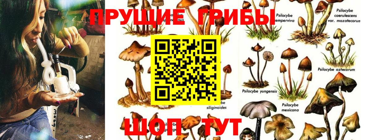 Сегежа  Галлюциногенные грибы ЛСД  Вход с VPN 